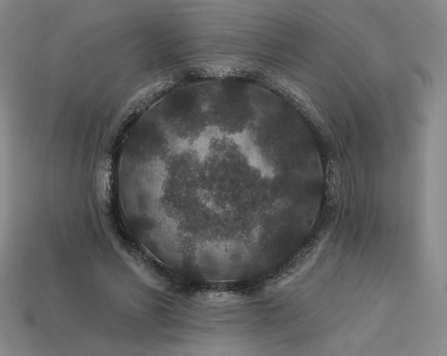 X0000113940590200909251242