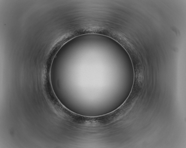 X0000113940591200909251242