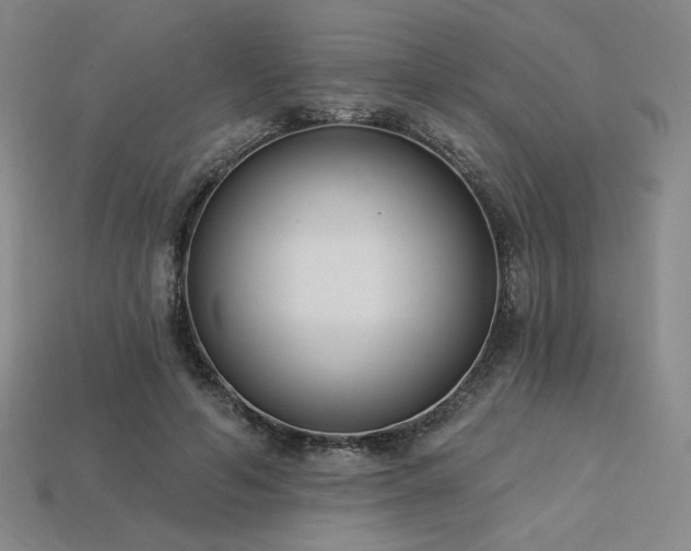 X0000113940594200909251242