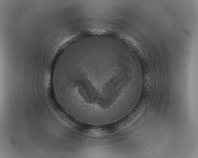 X0000113940596200909251242