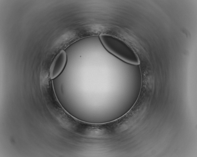 X0000113940597200909251242