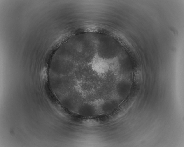 X0000113940598200909251242