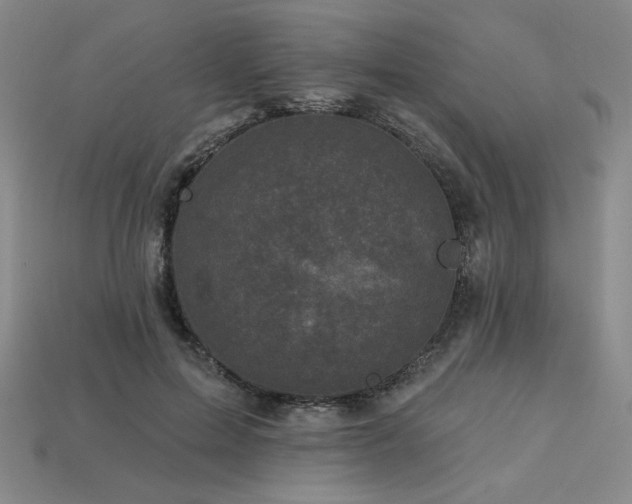 X0000113940599200909251242