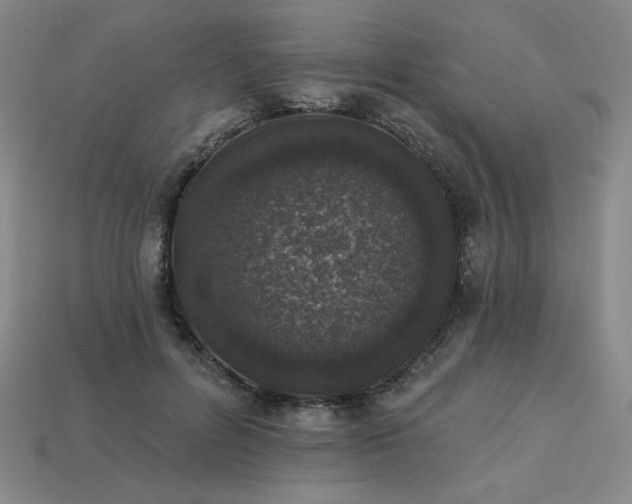 X0000113940600200909251242