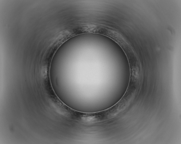 X0000113940602200909251242