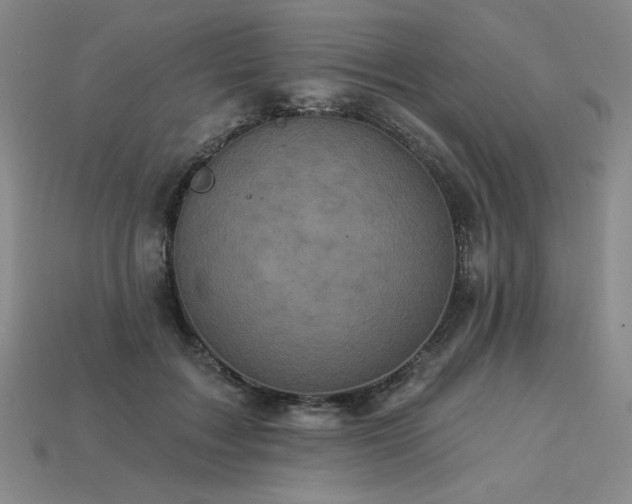 X0000113940603200909251242