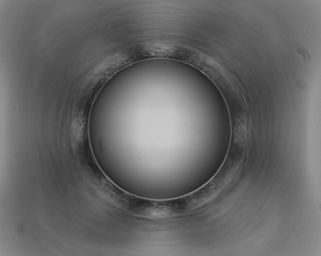 X0000113940604200909251242