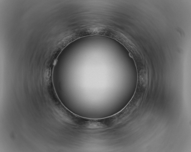 X0000113940605200909251242