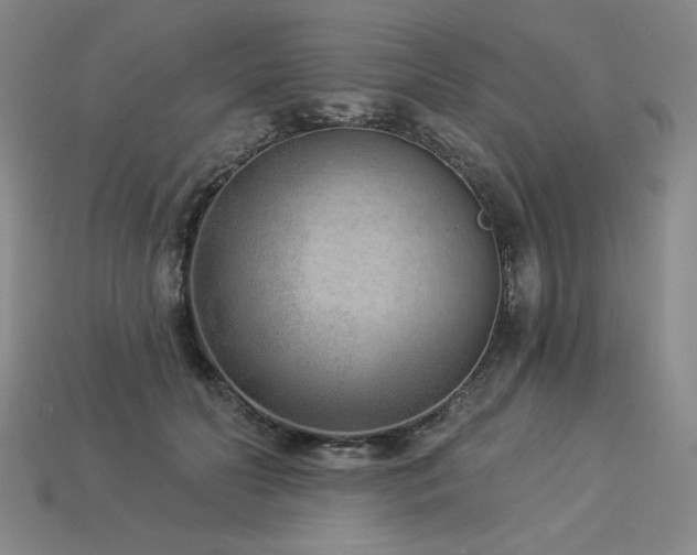 X0000113940606200909251242