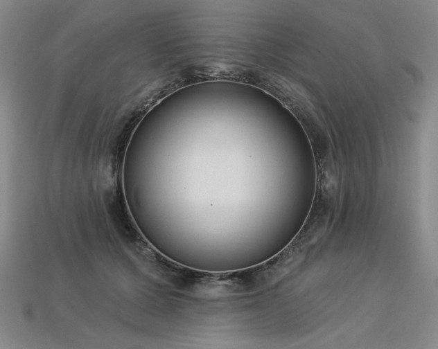 X0000113940607200909251242
