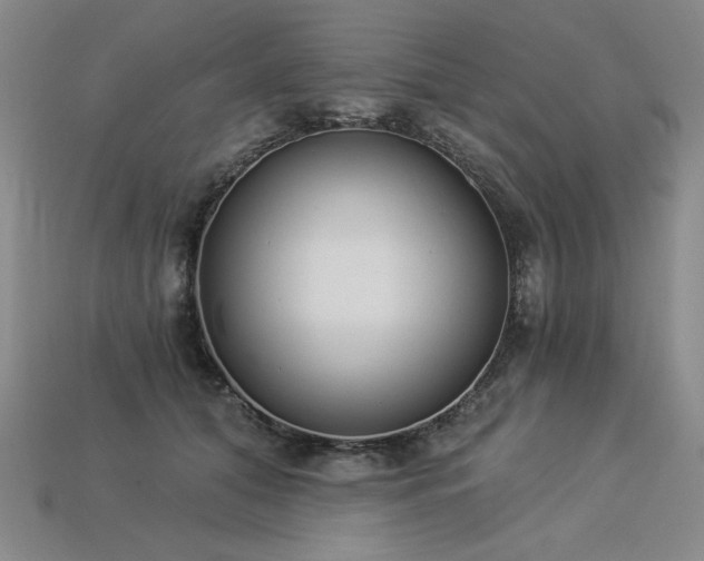 X0000113940608200909251242