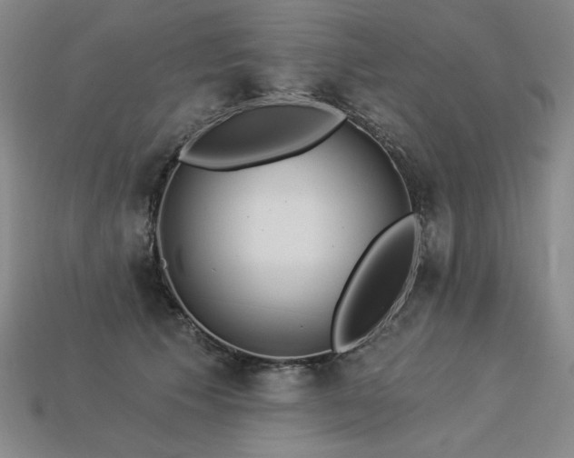X0000113940609200909251242