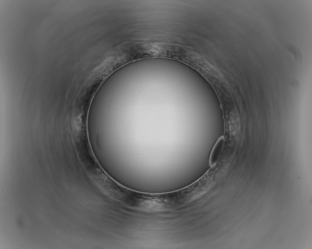 X0000113940611200909251242