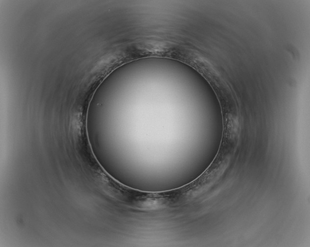 X0000113940612200909251242