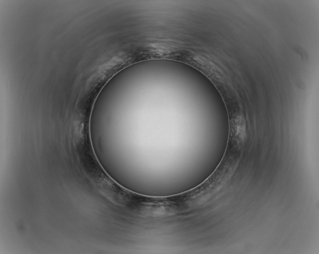 X0000113940615200909251242