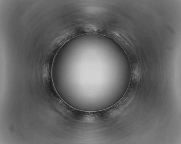 X0000113940616200909251242