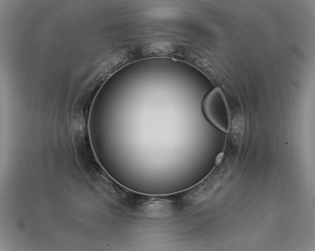 X0000113940617200909251242
