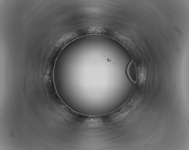 X0000113940619200909251242