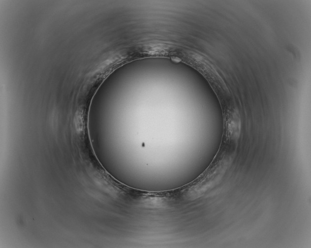 X0000113940620200909251242