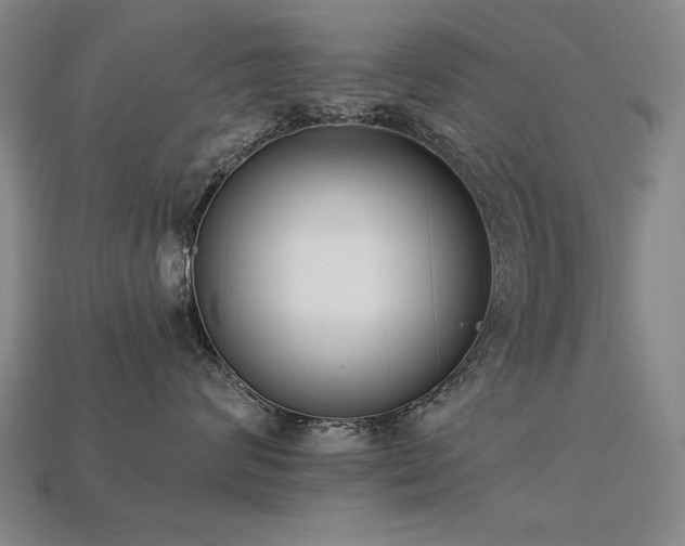 X0000113940624200909251242
