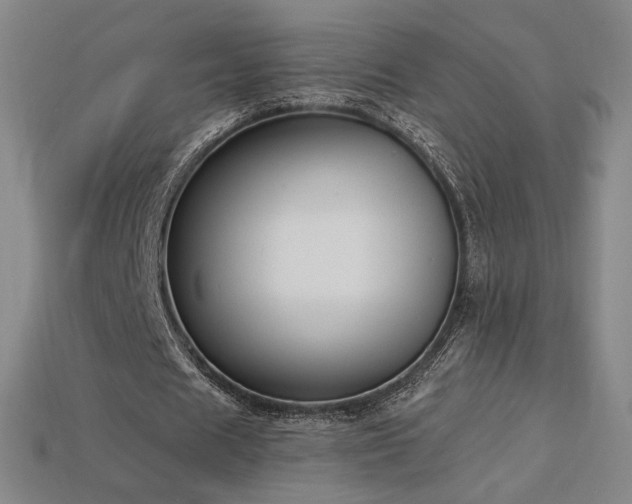 X0000113940625200909251241