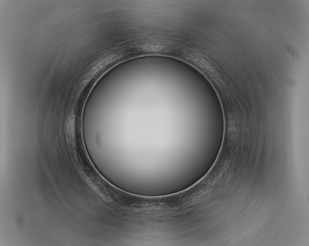 X0000113940626200909251241