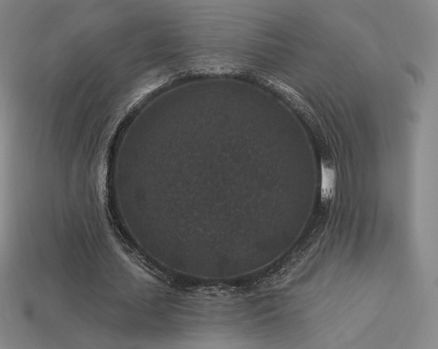 X0000113940627200909251241
