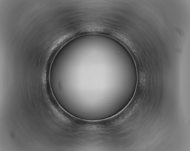 X0000113940629200909251241