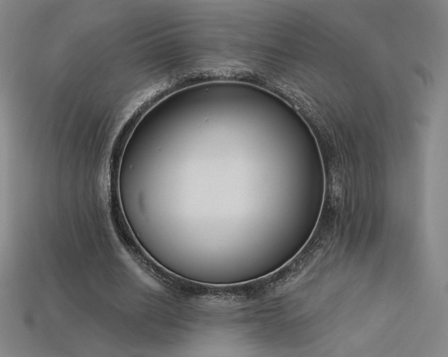 X0000113940630200909251241