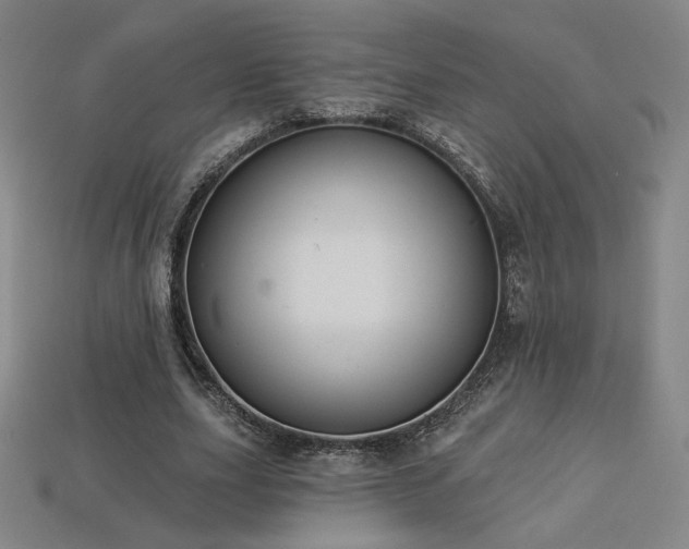 X0000113940631200909251241