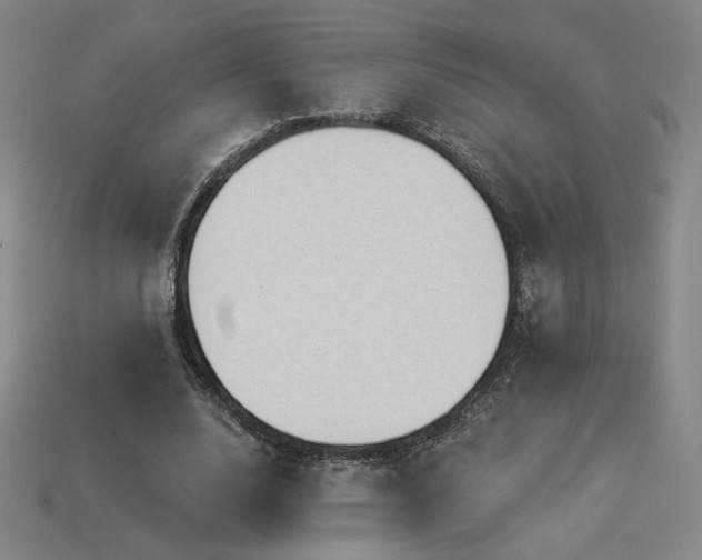 X0000113940632200909251241