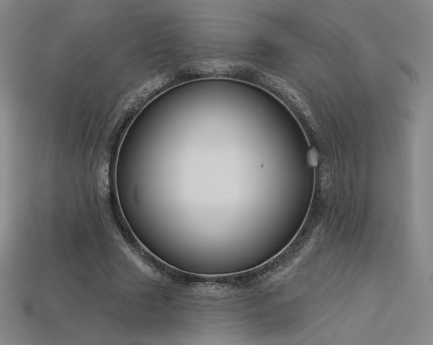 X0000113940633200909251241