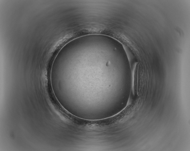 X0000113940634200909251241