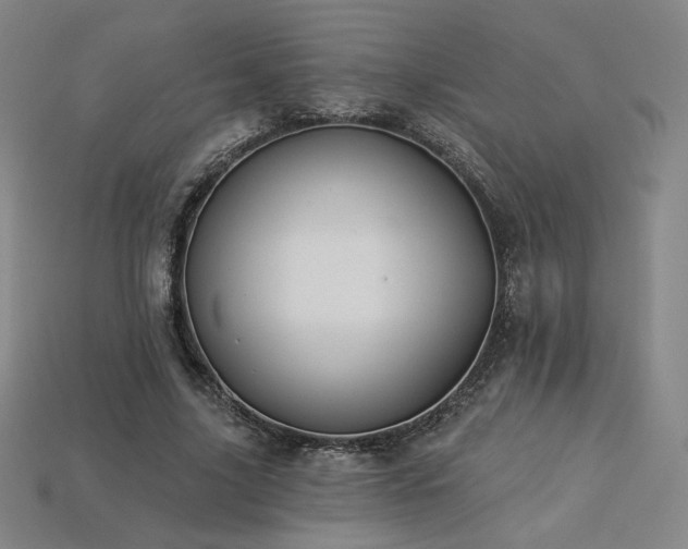 X0000113940635200909251241