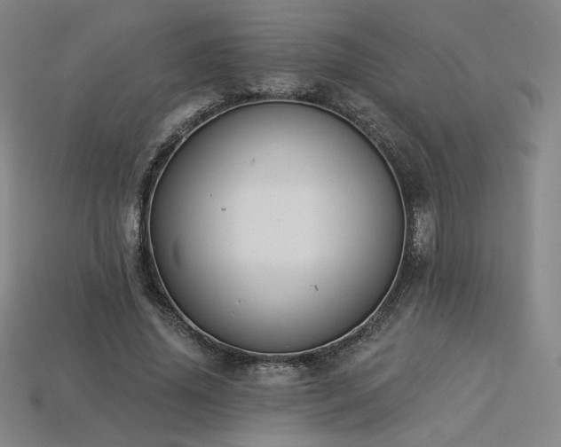 X0000113940636200909251241