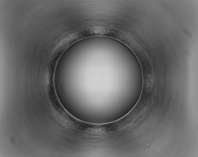 X0000113940639200909251241