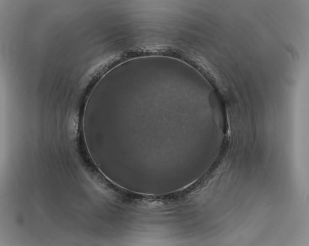 X0000113940640200909251241