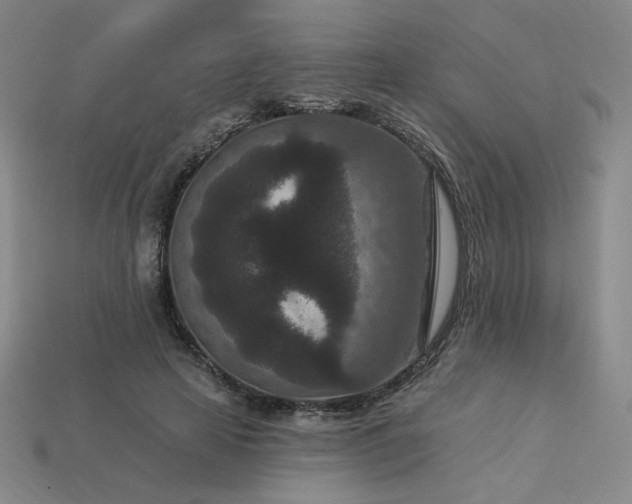 X0000113940641200909251241