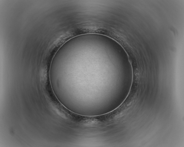 X0000113940642200909251241