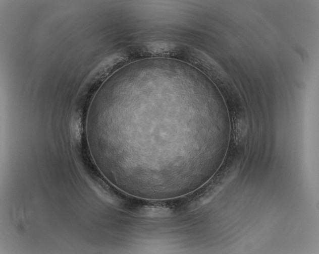 X0000113940644200909251241