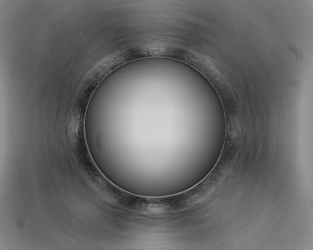 X0000113940645200909251241