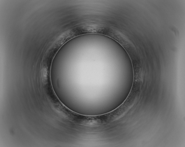 X0000113940646200909251241