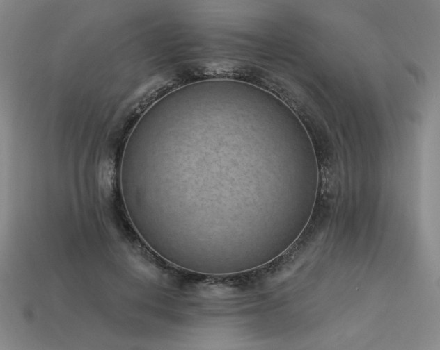 X0000113940648200909251241