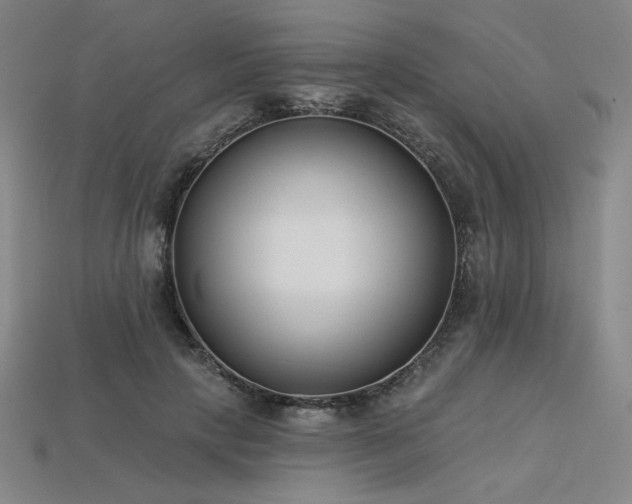 X0000113940649200909251241