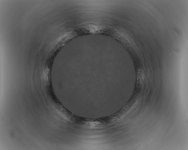 X0000113940650200909251241