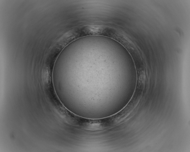 X0000113940651200909251241
