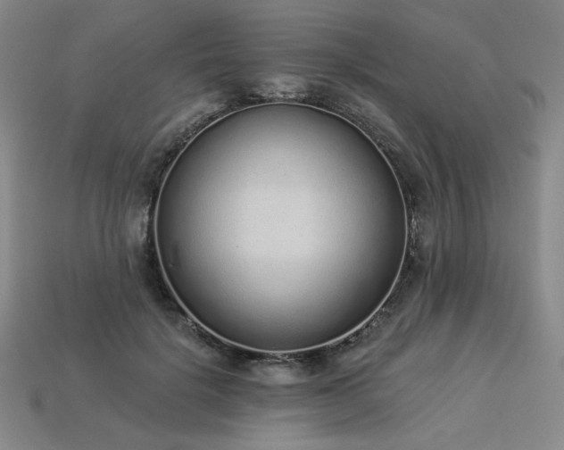 X0000113940652200909251241