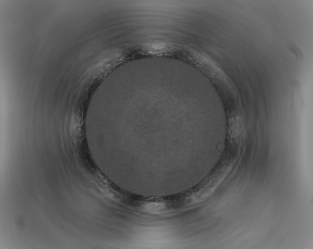X0000113940653200909251241