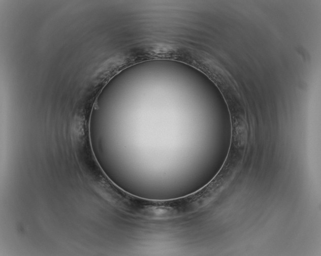 X0000113940654200909251241