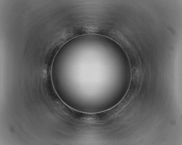 X0000113940655200909251241